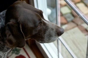 10398490_1053471539909_3545087_n