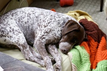 10398490_1053471579910_6443468_n