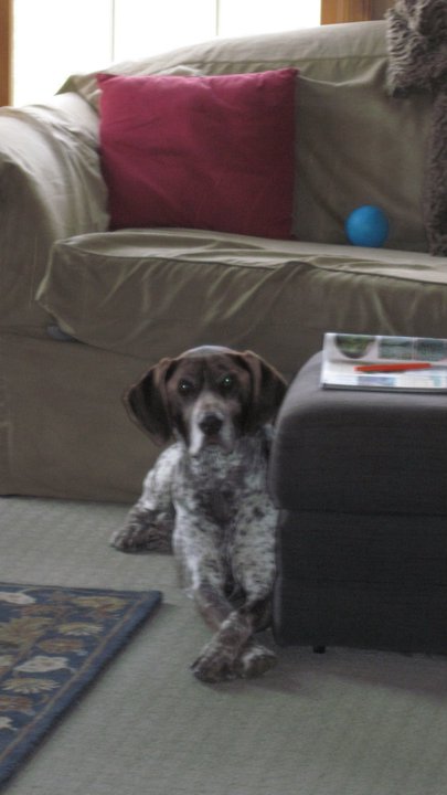 68286_1483529971101_2943455_n